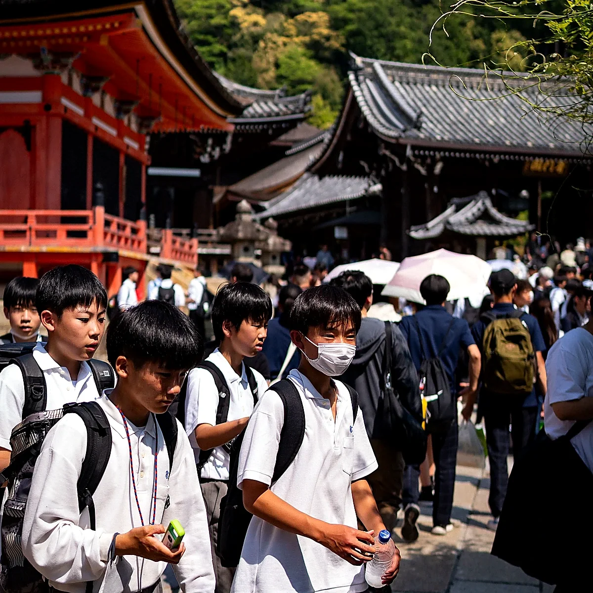 和歌山文化探索